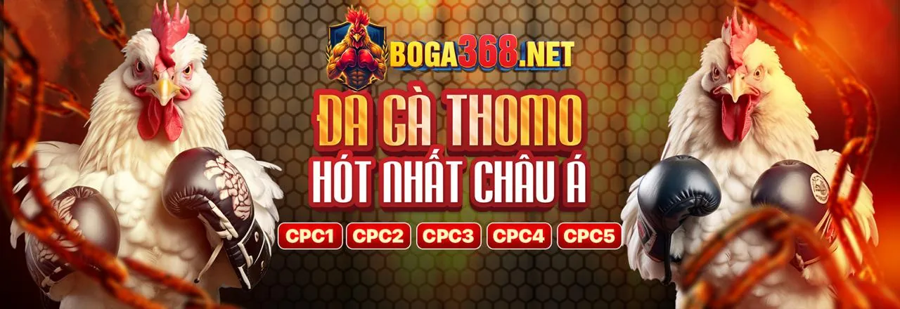 Đá Gà Trực Tuyến Hấp Dẫn tại MM88